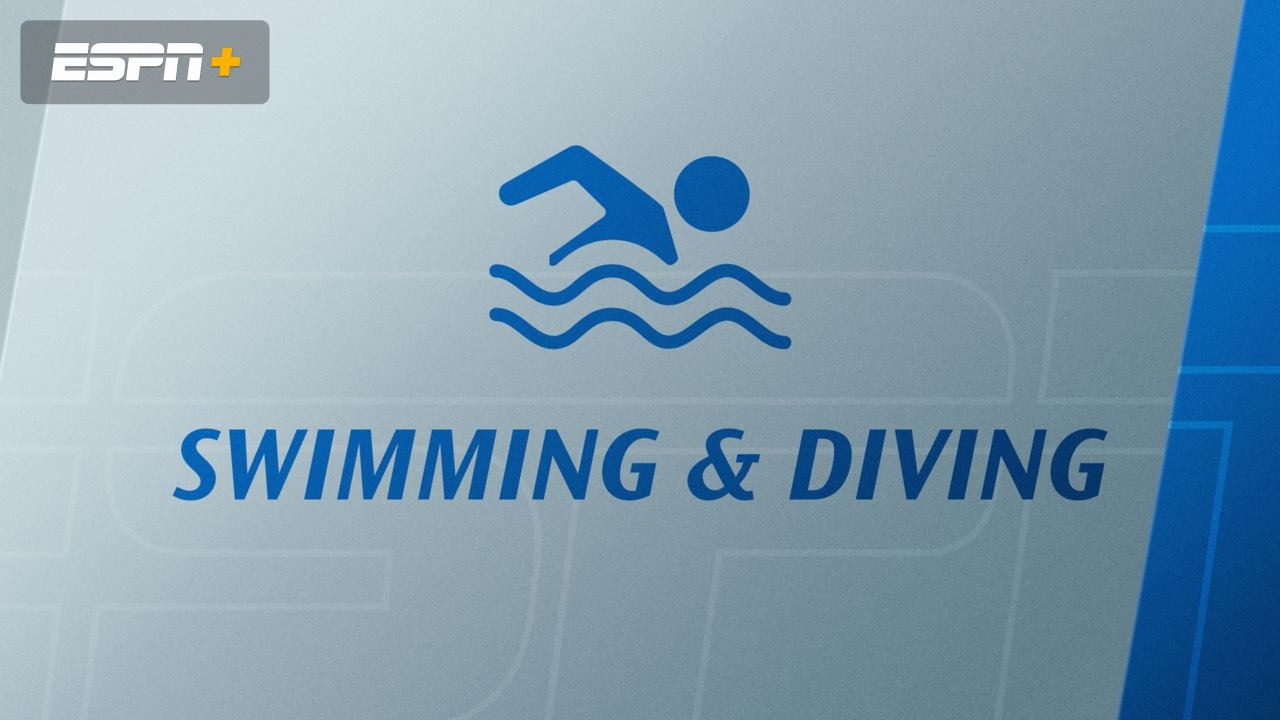 Atlantic 10 Swimming and Diving Championships (Day One Prelims) (Swimming)