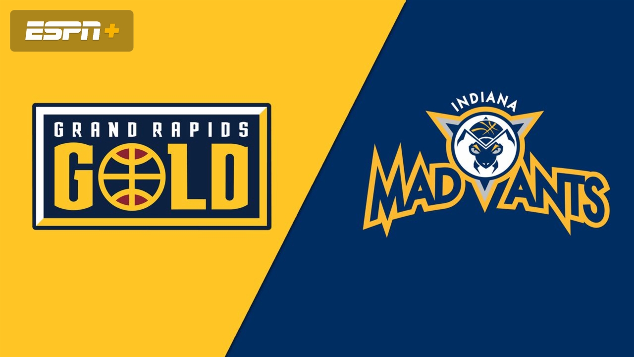 Grand Rapids Gold vs. Indiana Mad Ants