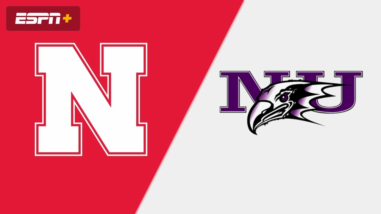 Nebraska vs. Niagara (Site 11 / Game 3) (NCAA Baseball Championship)