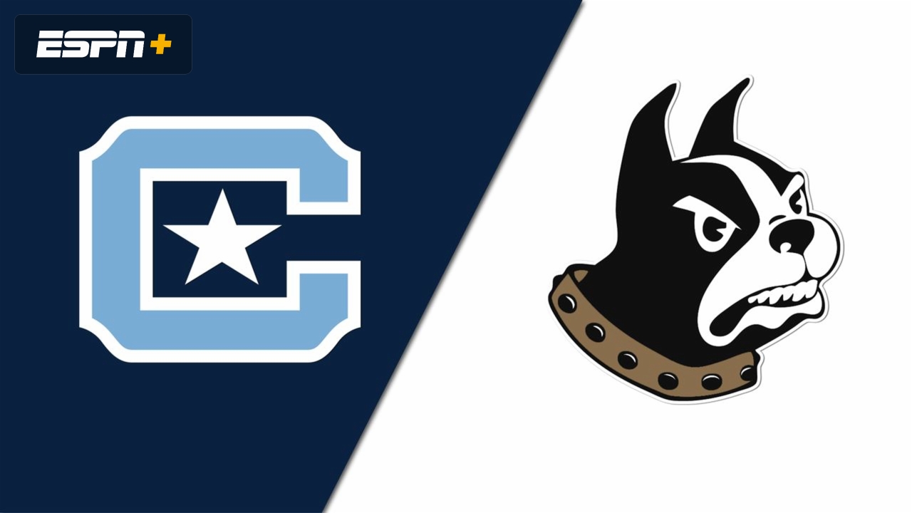 The Citadel vs. Wofford (Game 1)