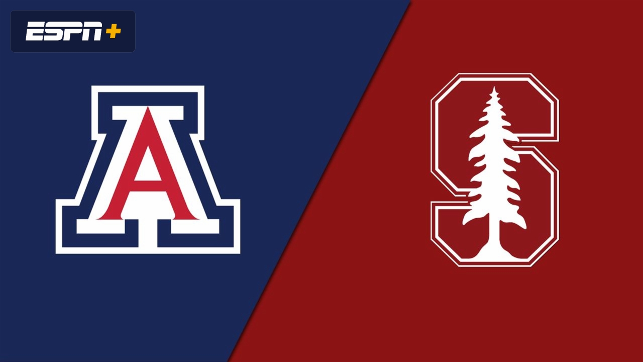 Arizona vs. Stanford (2004)