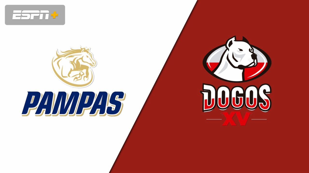 Pampas XV vs. Dogos XV