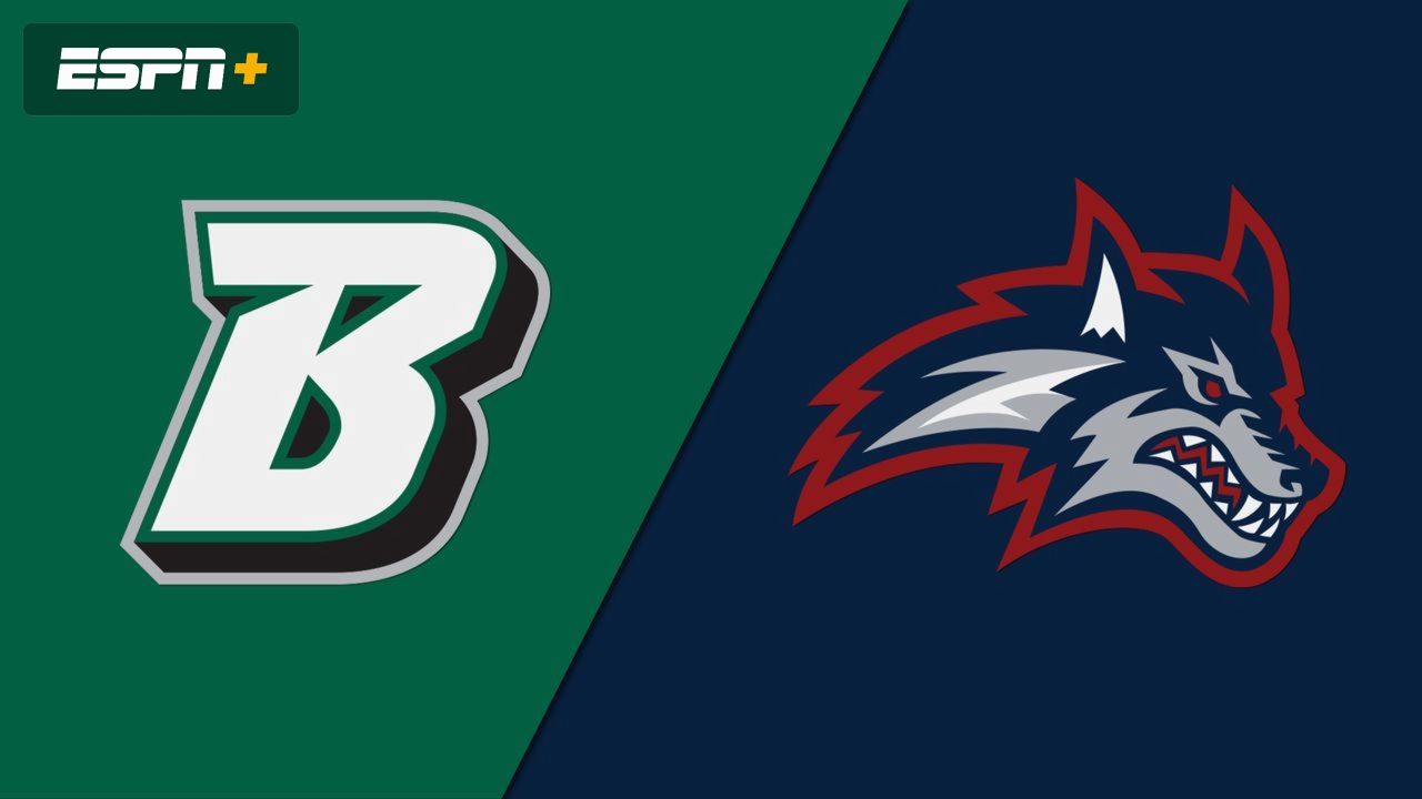 Binghamton vs. Stony Brook (Championship) (Baseball)