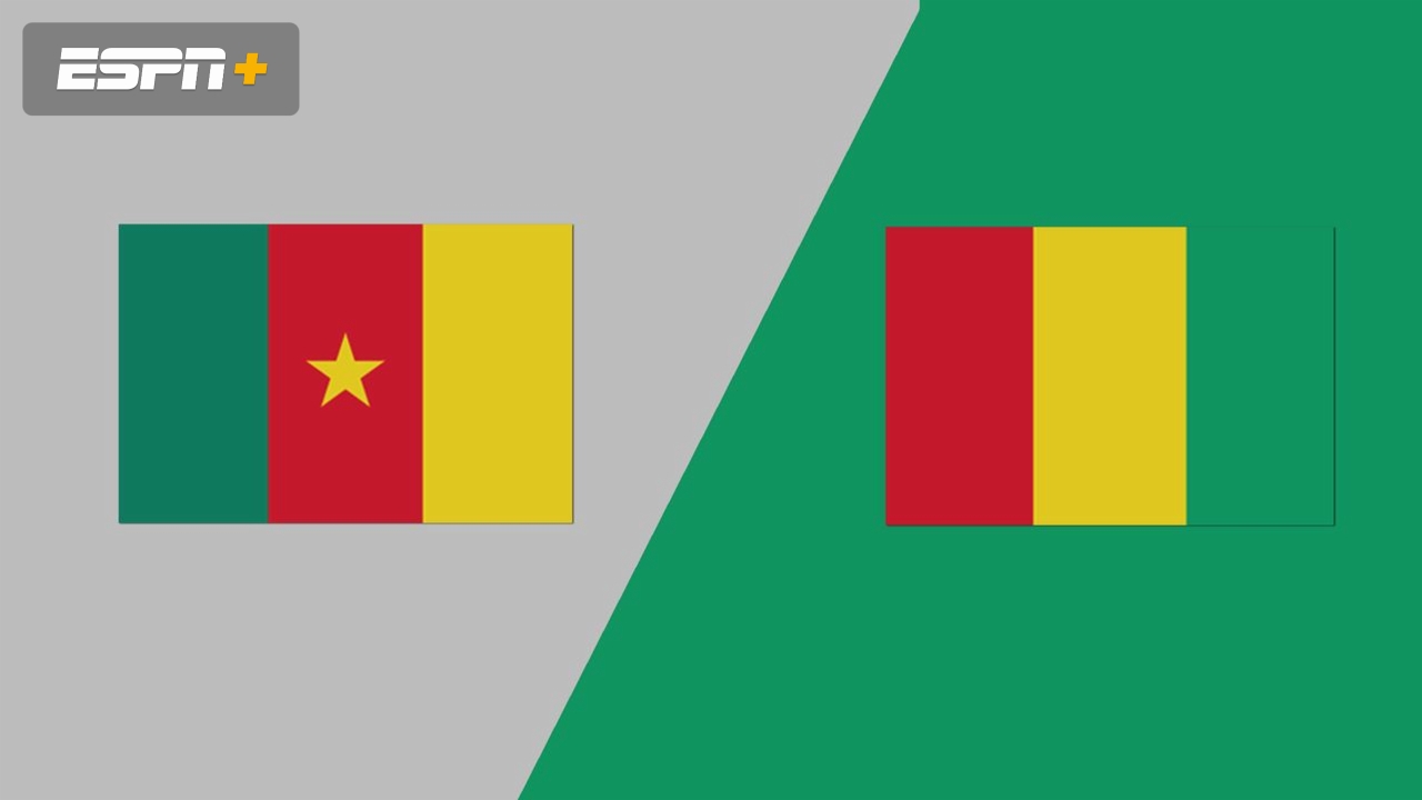 Cameroon vs. Guinea