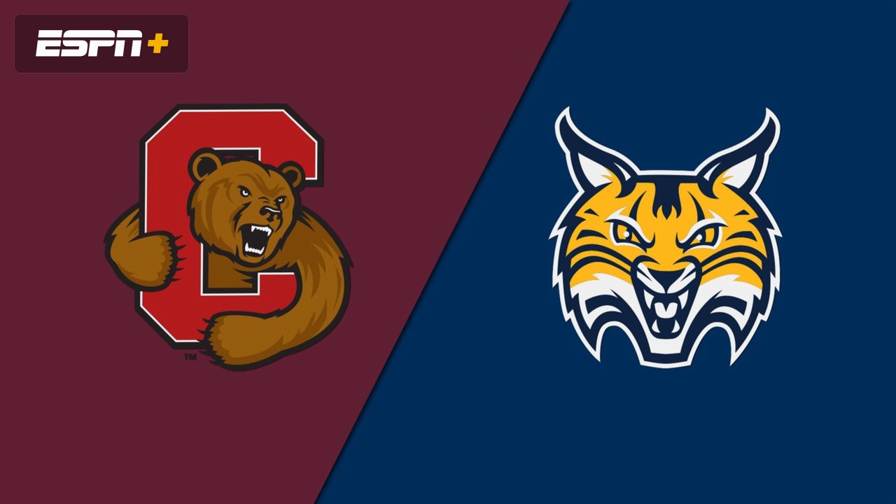 #6 Cornell vs. Quinnipiac (W Hockey)