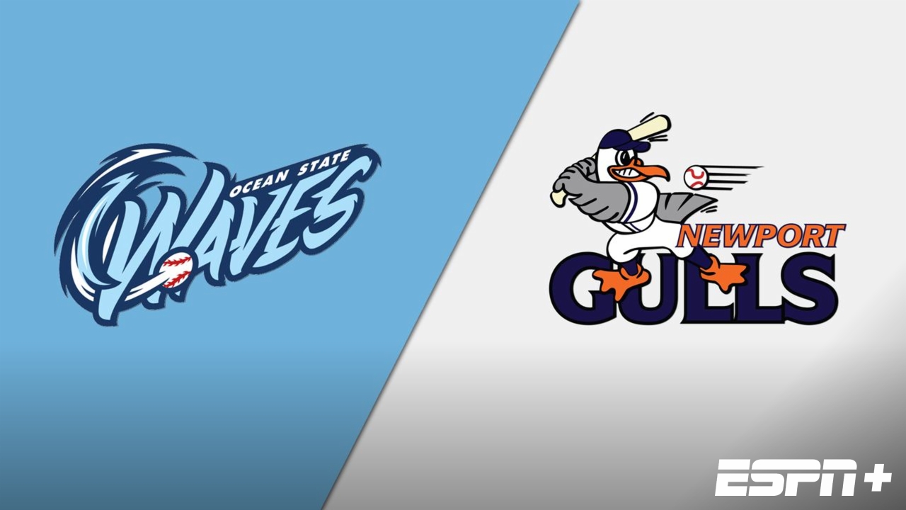 Ocean State Waves vs. Newport Gulls