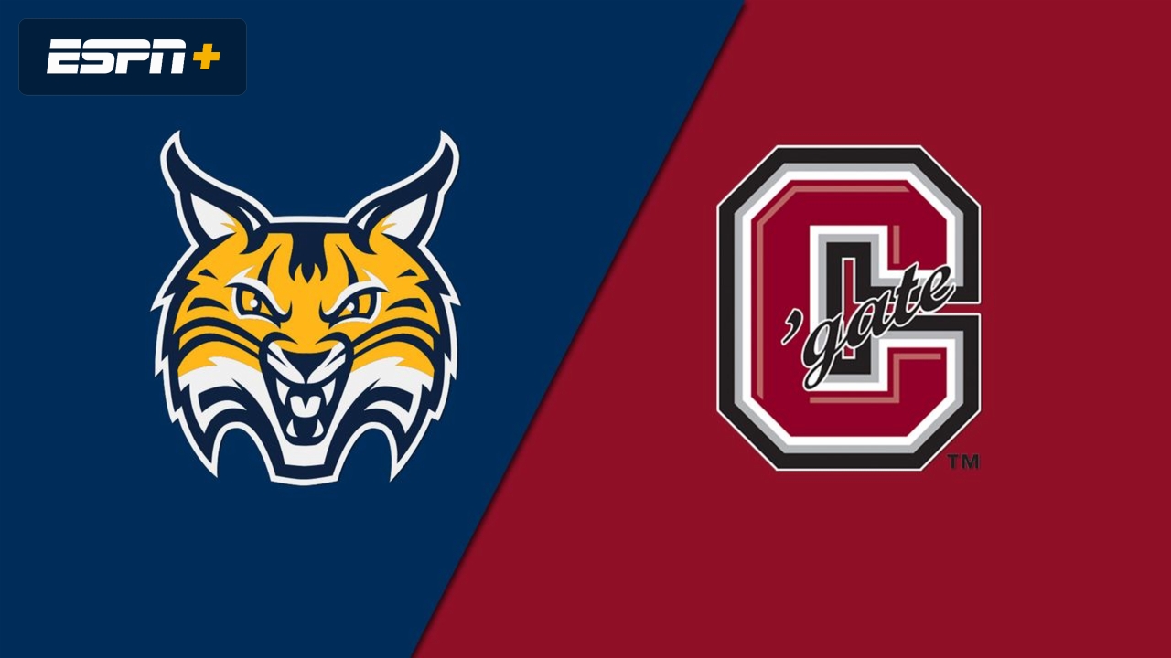 #14 Quinnipiac vs. Colgate (M Hockey)