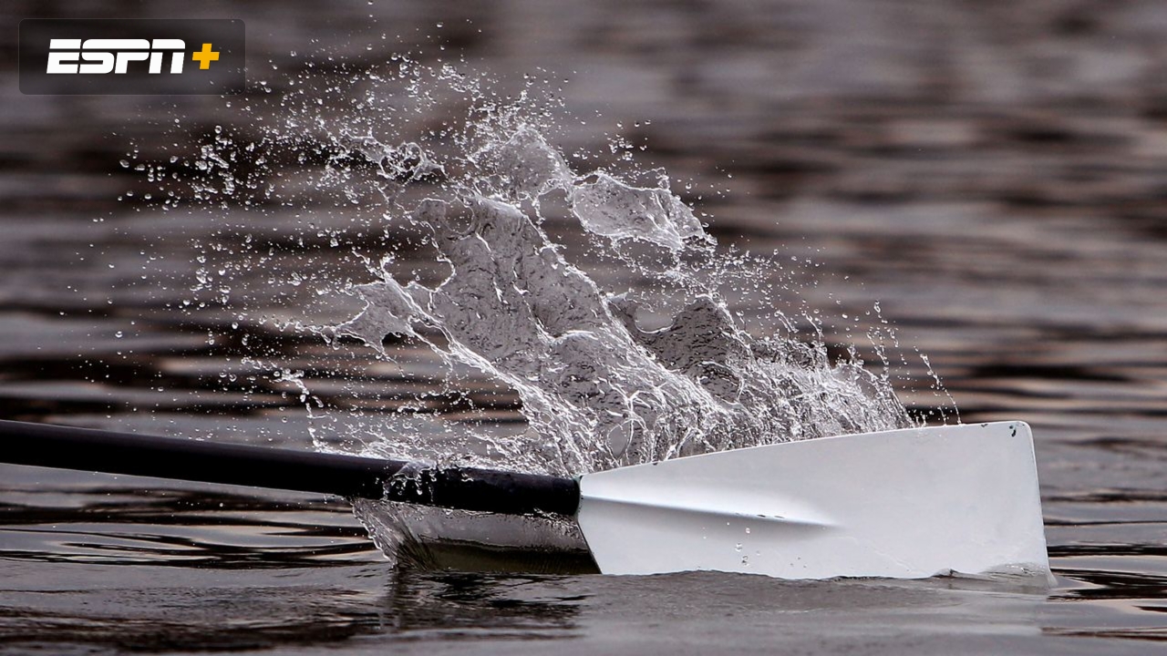 Columbia, MIT, and Cornell (Lightweight) (M Rowing)