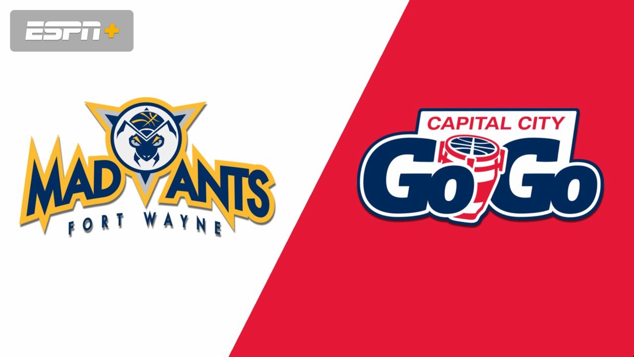 Fort Wayne Mad Ants vs. Capital City Go-Go
