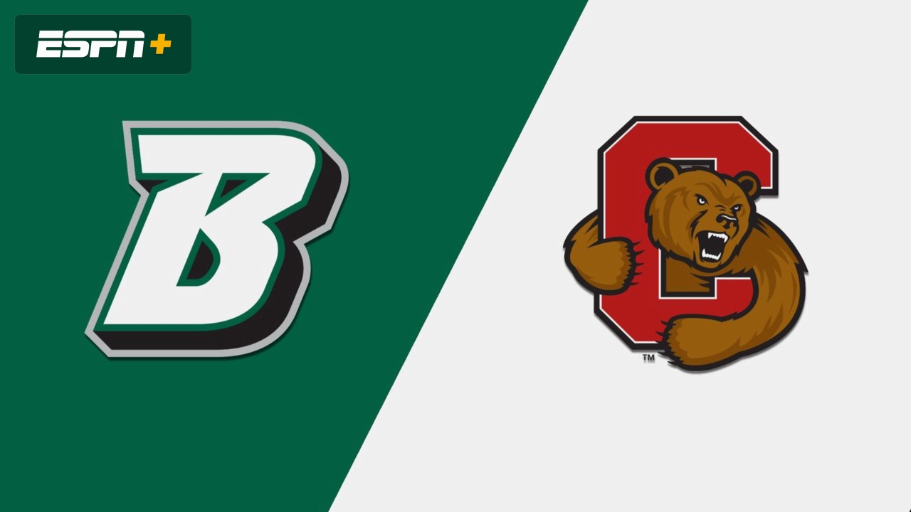 Binghamton vs. Cornell (W Basketball)