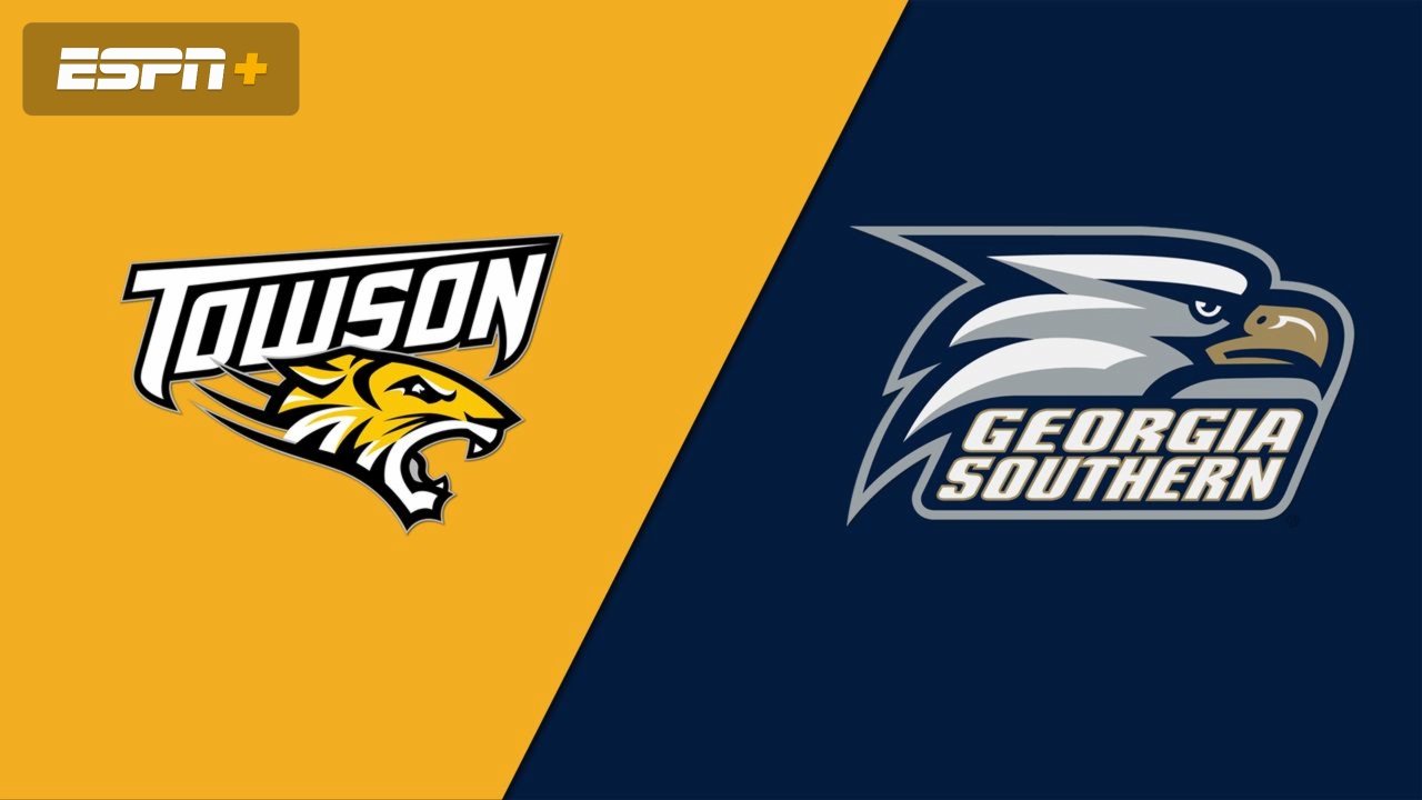 Towson vs. Georgia Southern (Baseball)