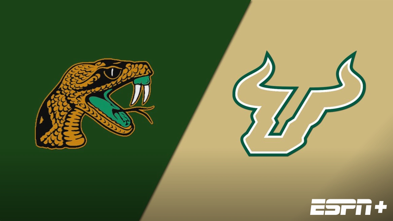 Florida A&M vs. South Florida (Football)