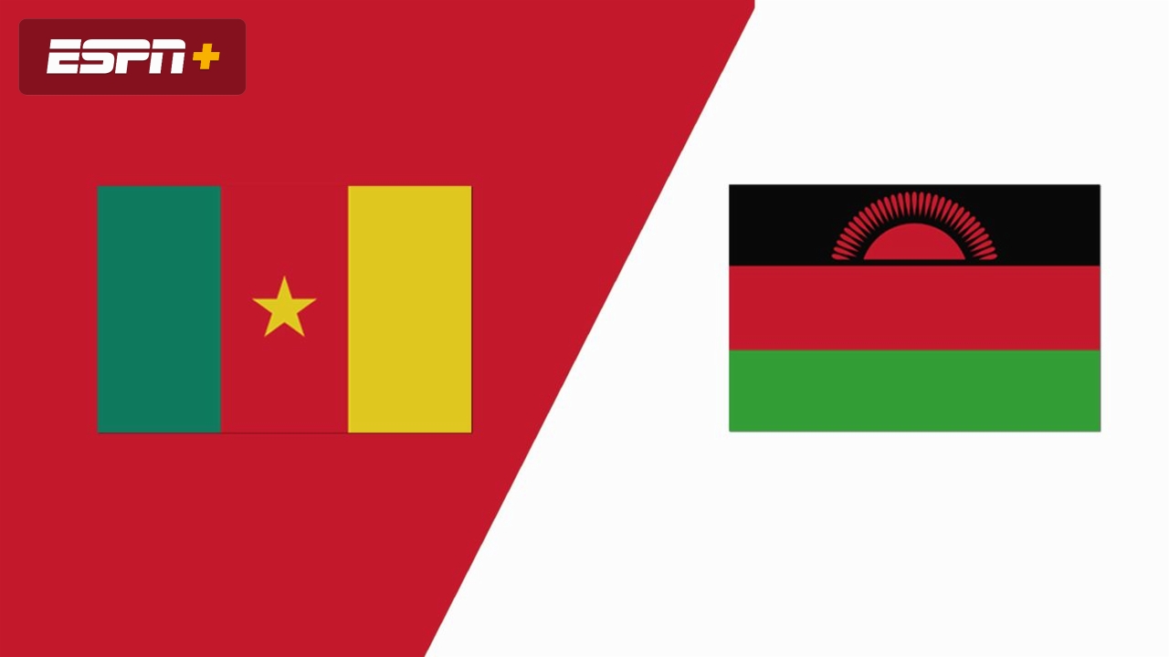Cameroon vs. Malawi (FIFA World Cup Qualifier)