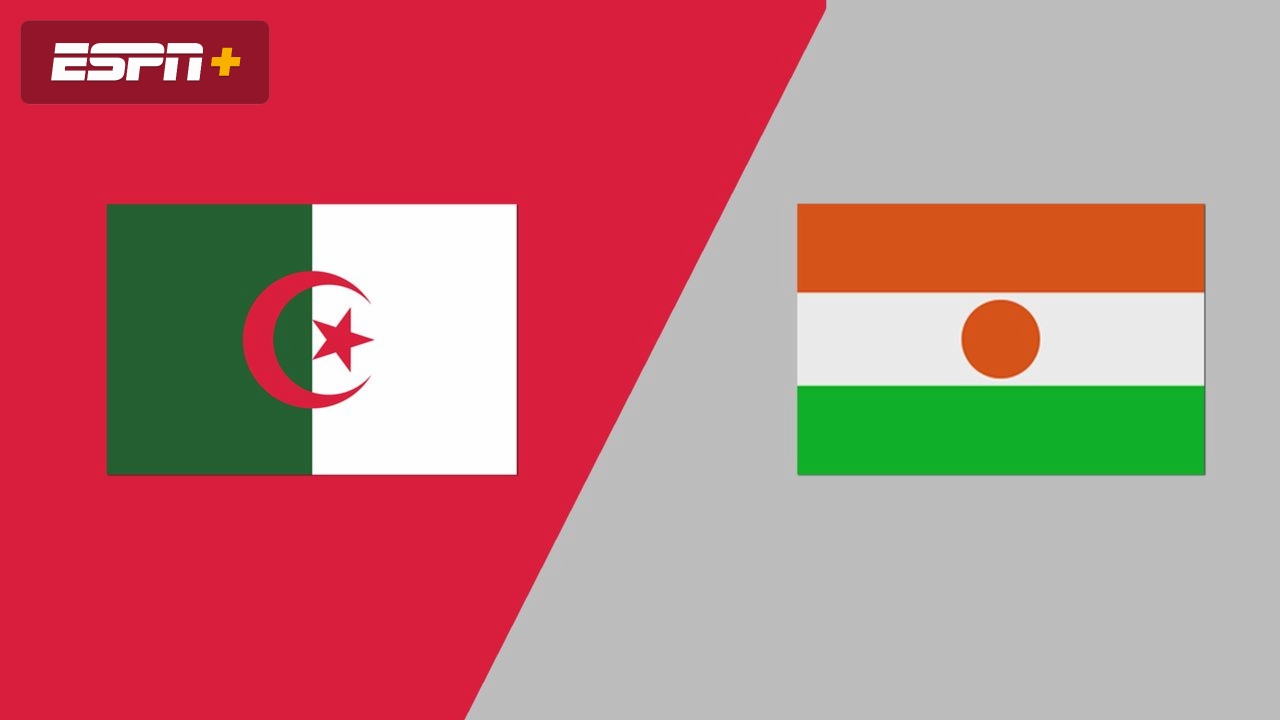Algeria vs. Niger (FIFA World Cup Qualifier)