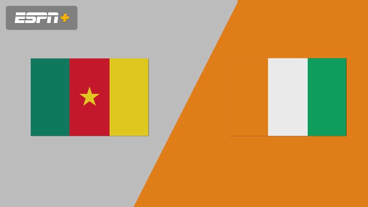 Cameroon vs. Ivory Coast (FIFA World Cup Qualifier)