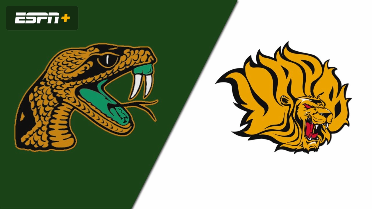 Florida A&M vs. Arkansas Pine Bluff (Football)