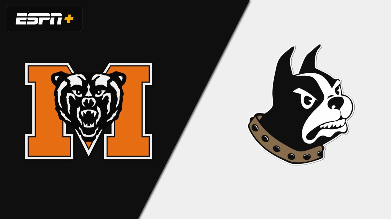 Mercer vs. Wofford (Game 3) (Baseball)