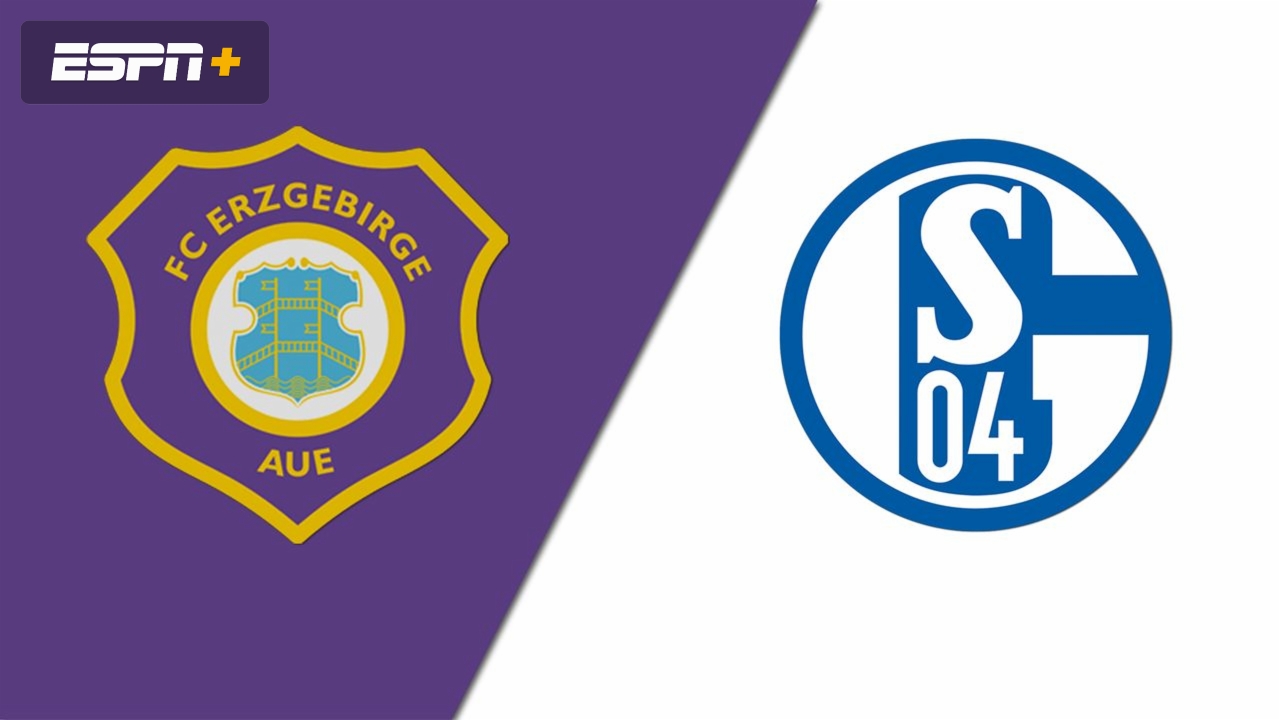 FC Erzgebirge Aue vs. FC Schalke 04 (2. Bundesliga)
