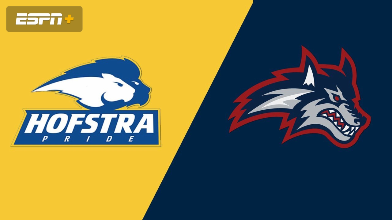 Hofstra vs. Stony Brook (M Soccer)