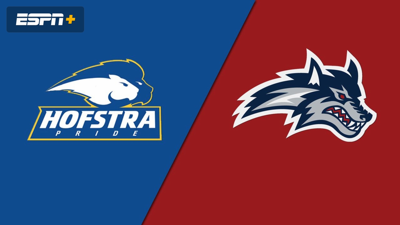Hofstra vs. Stony Brook (W Volleyball)