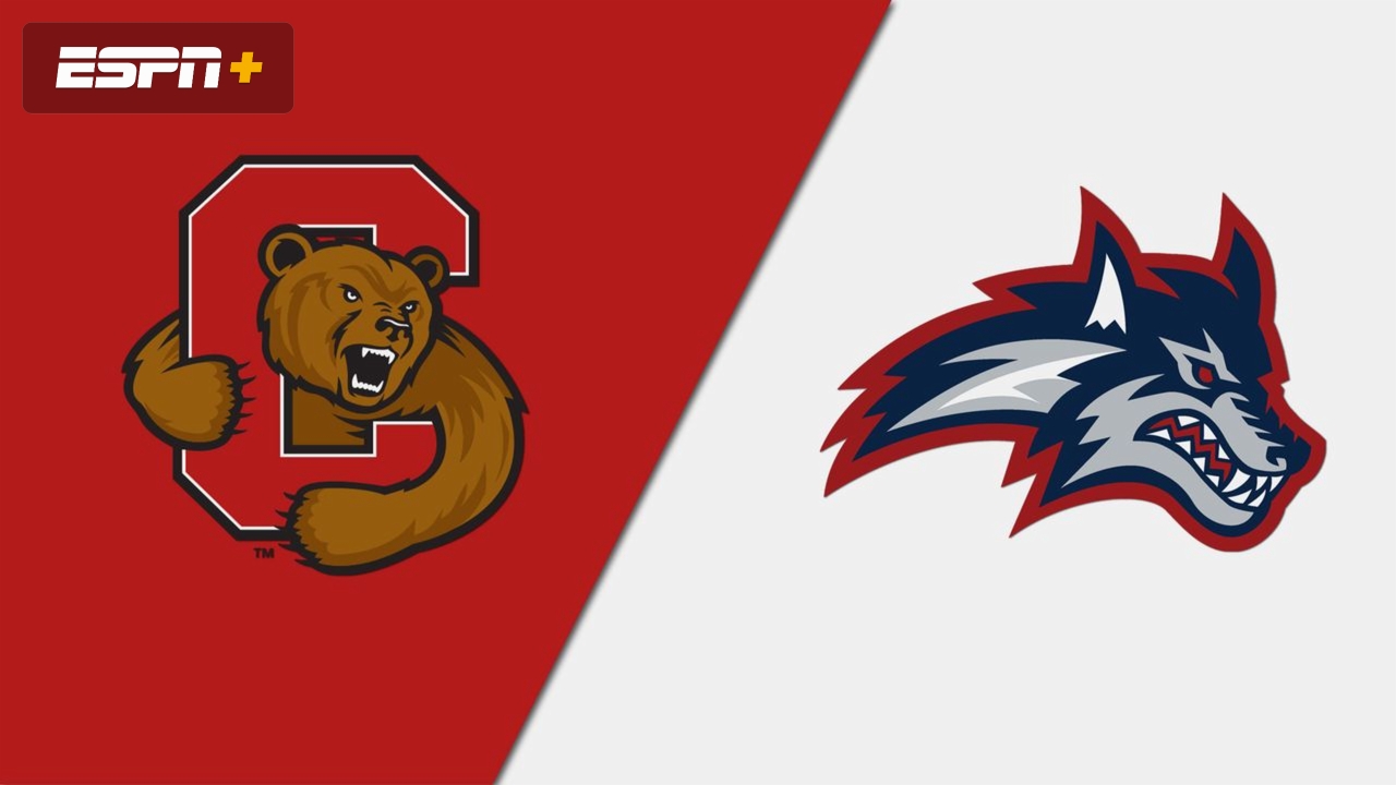 Cornell vs. Stony Brook (W Soccer)