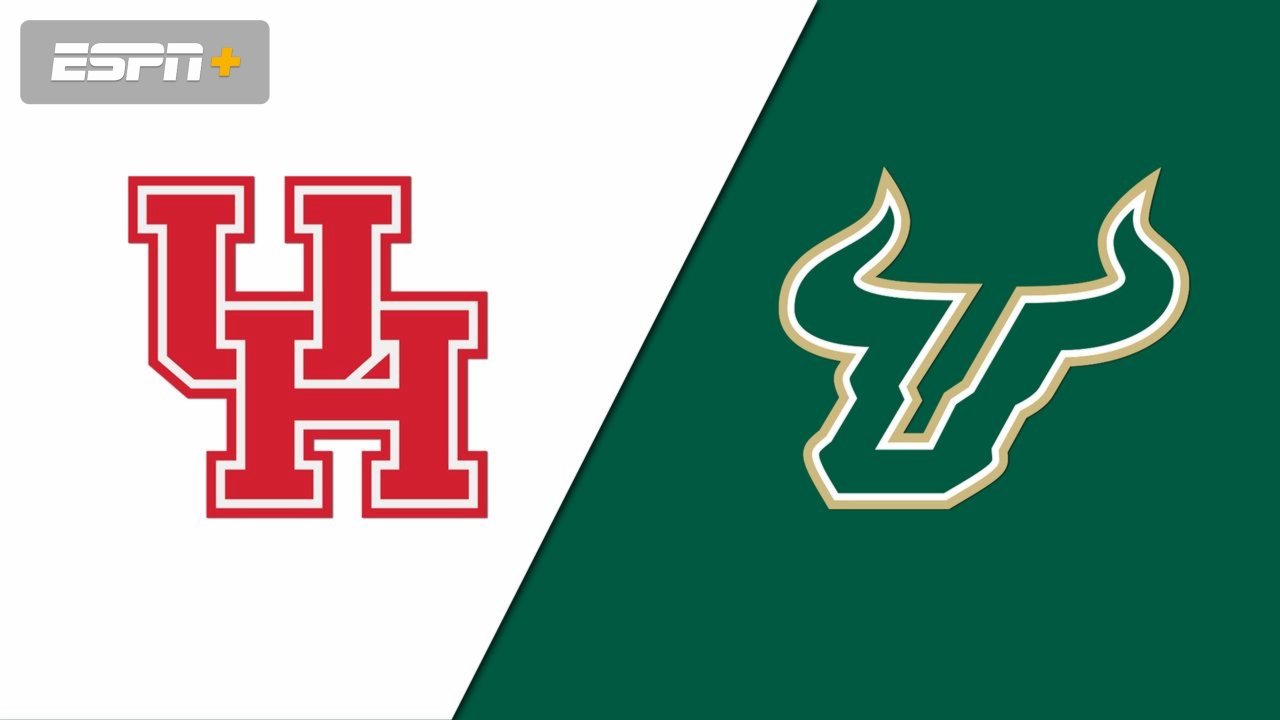 Houston vs. South Florida (W Soccer)