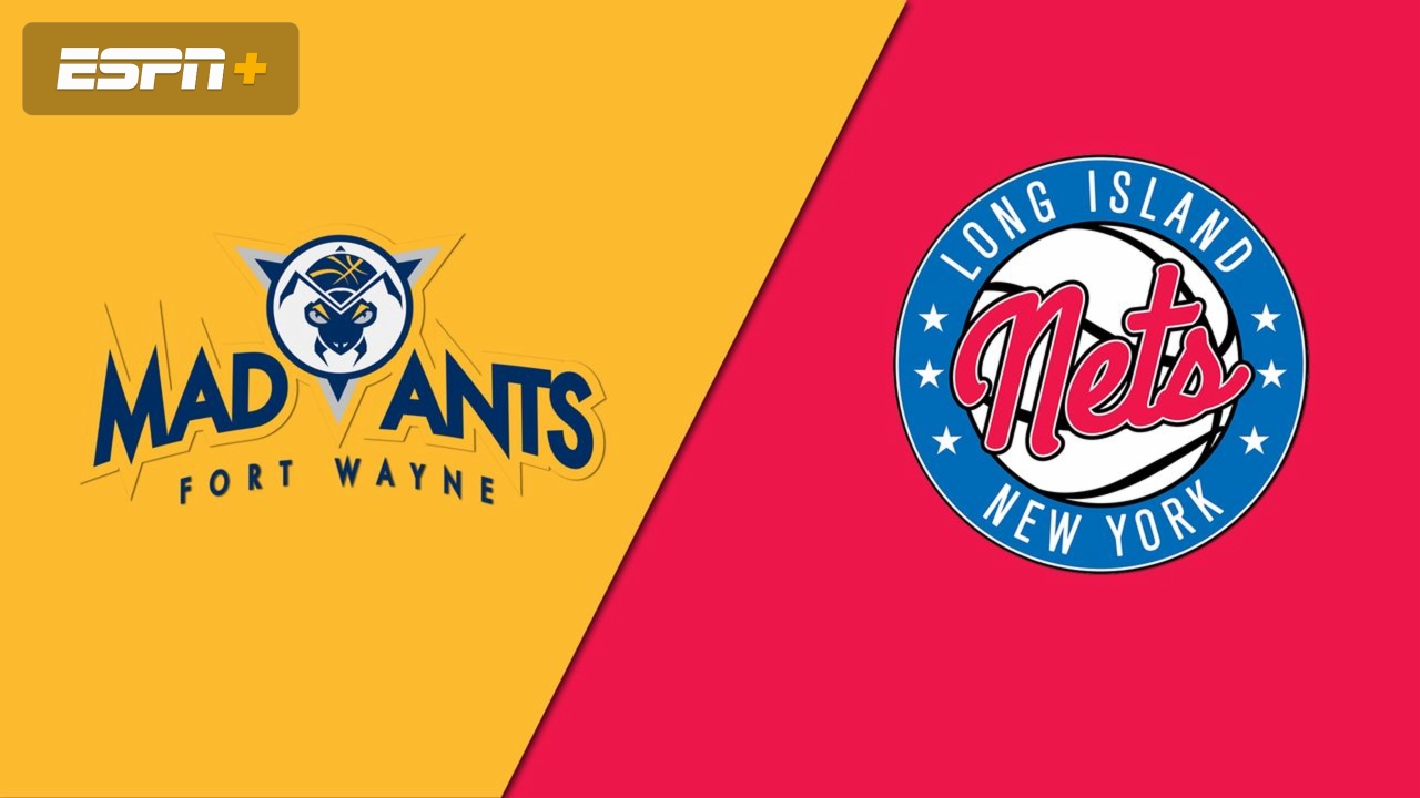 Fort Wayne Mad Ants vs. Long Island Nets