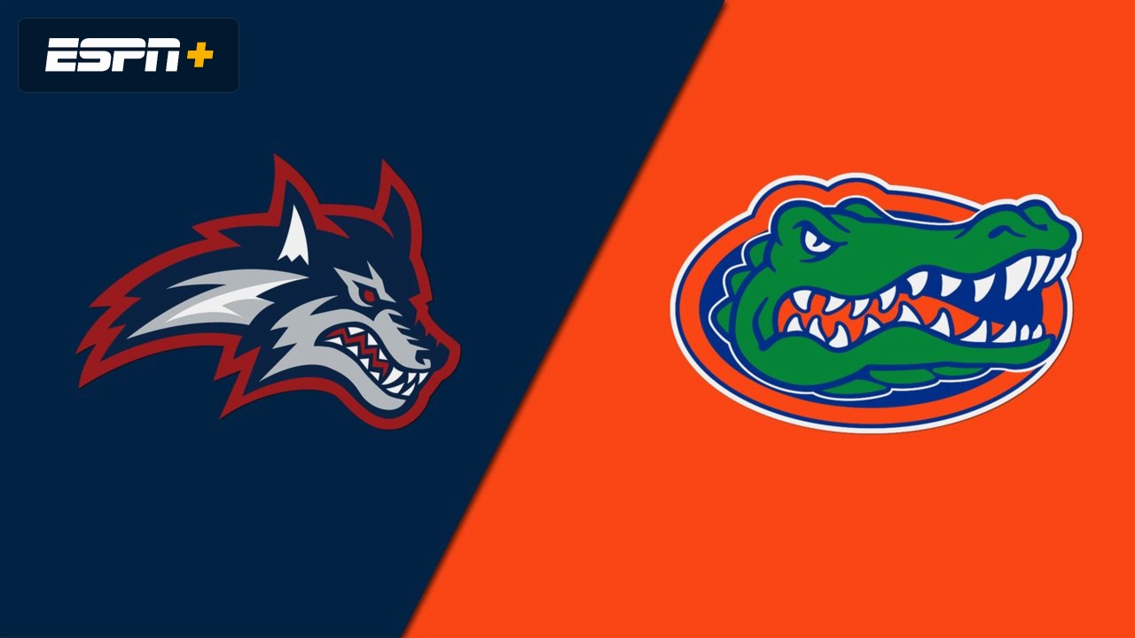 Stony Brook vs. Florida (M Basketball)