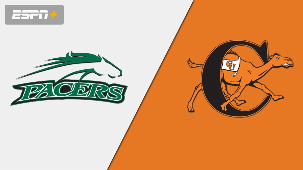 William Peace vs. Campbell (M Basketball)