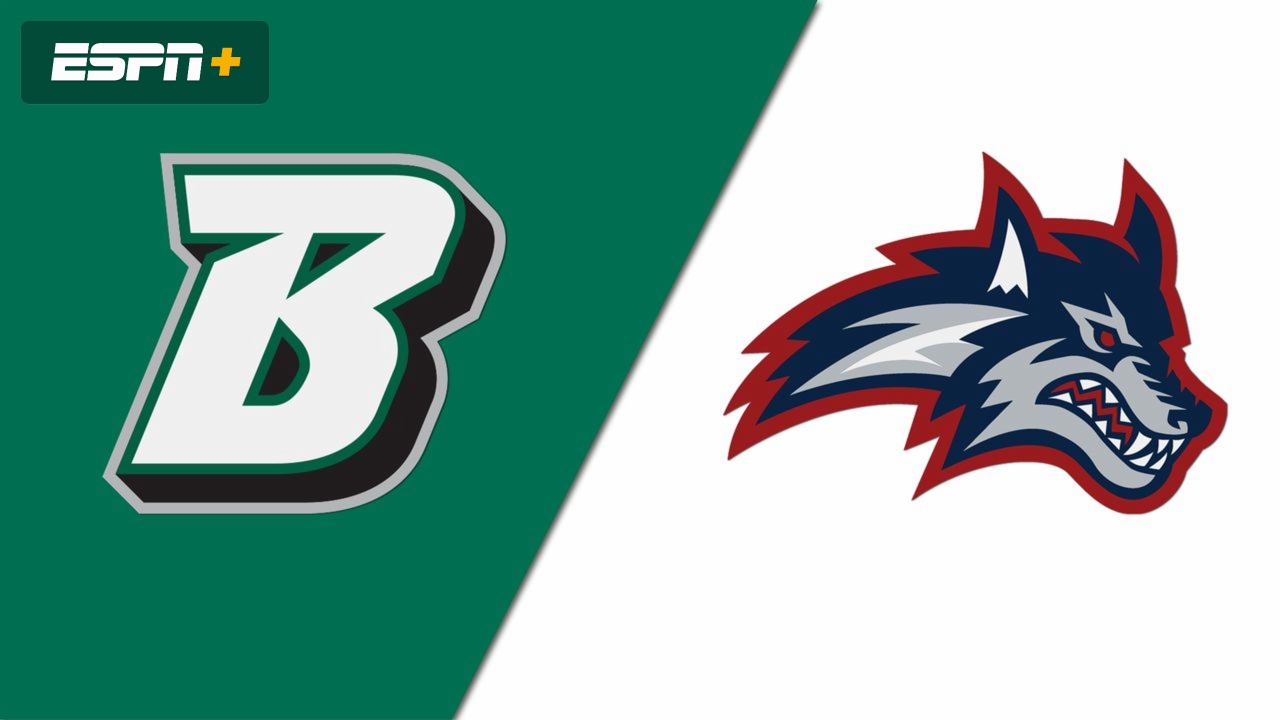 Binghamton vs. Stony Brook (W Basketball)