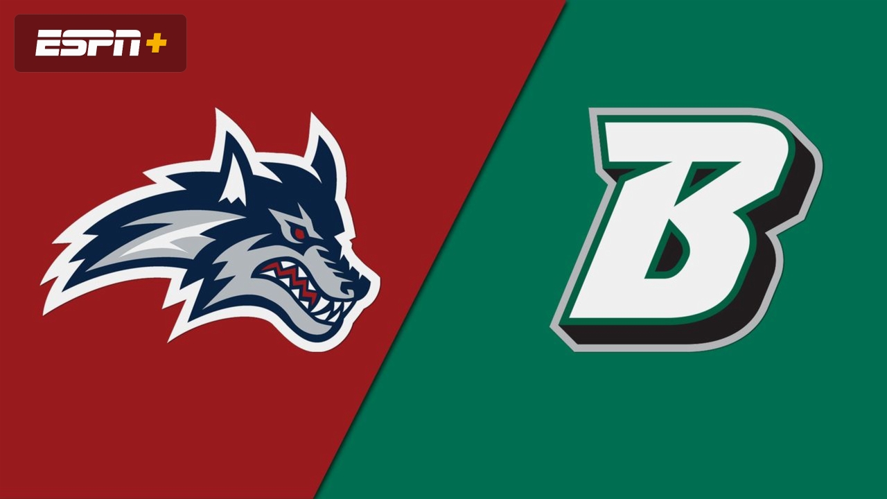 Stony Brook vs. Binghamton (W Basketball)