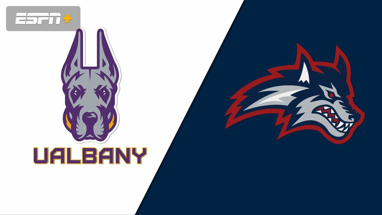 Albany vs. Stony Brook (W Volleyball)