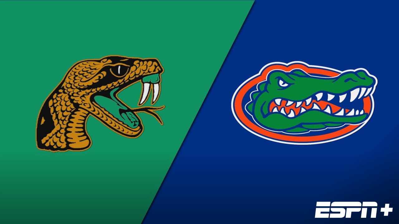 Florida A&M vs. #16 Florida (NCAA Women's Volleyball Tournament)