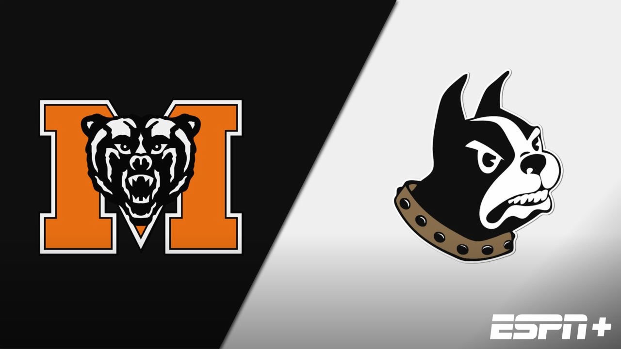 Mercer vs. Wofford