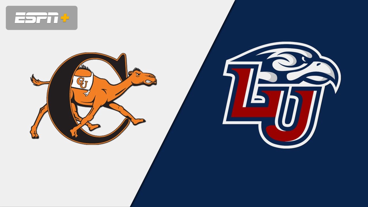 Campbell vs. #14 Liberty (Baseball)