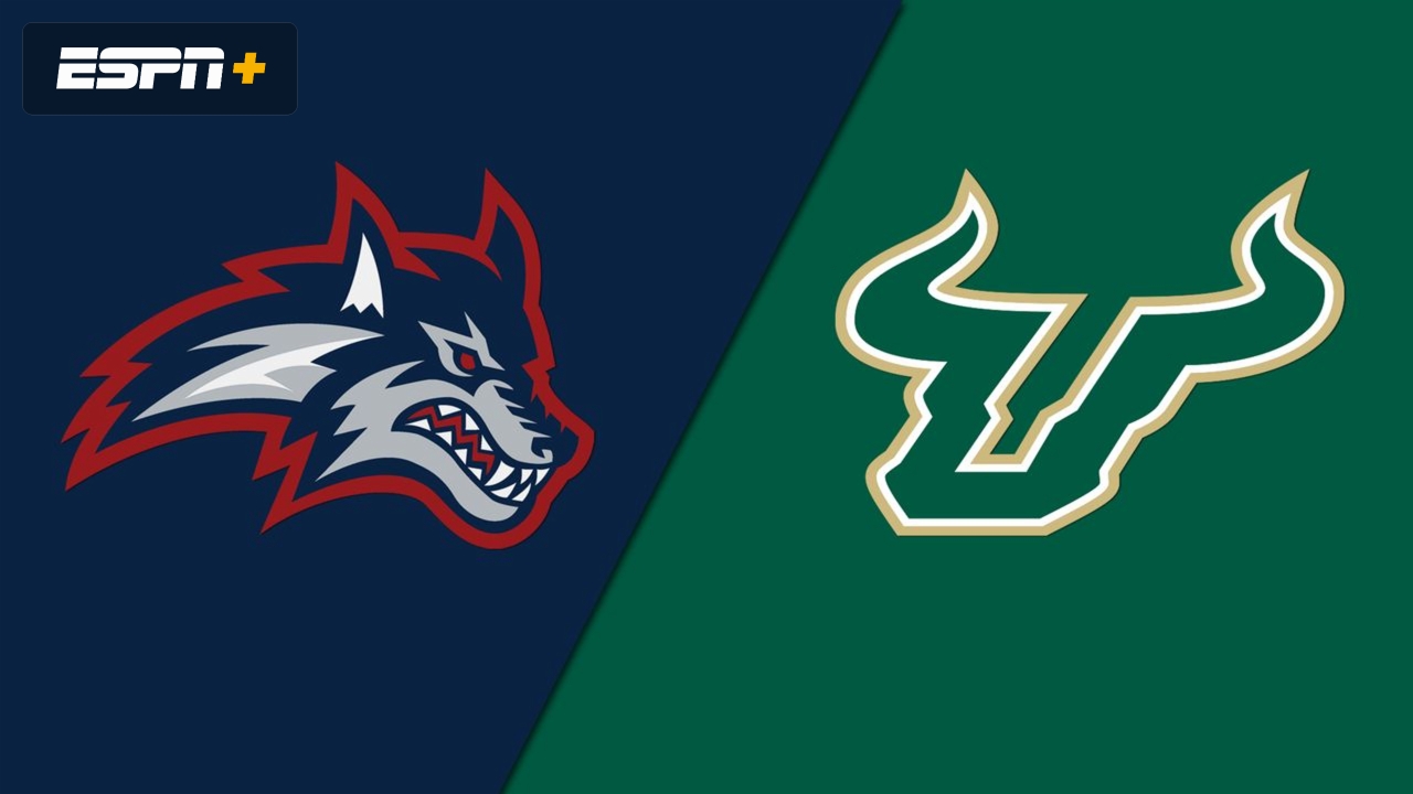 Stony Brook vs. #22 South Florida (Softball)