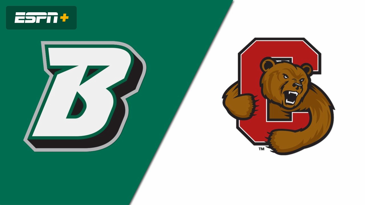 Binghamton vs. Cornell (Baseball)