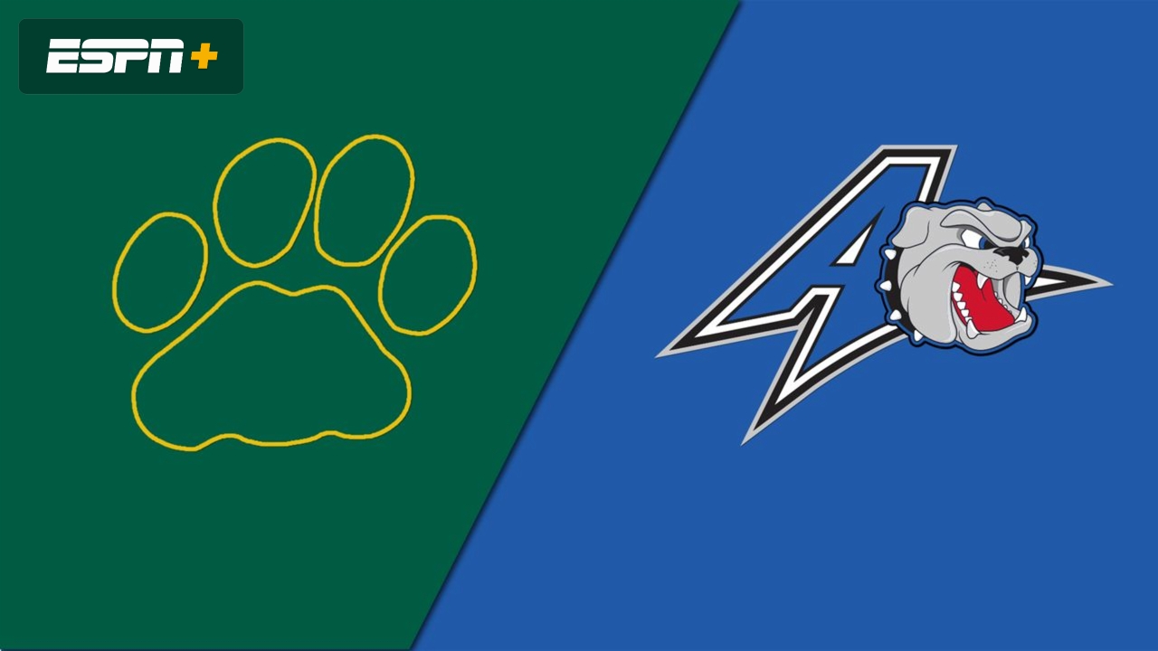 Lees-McRae vs. UNC Asheville