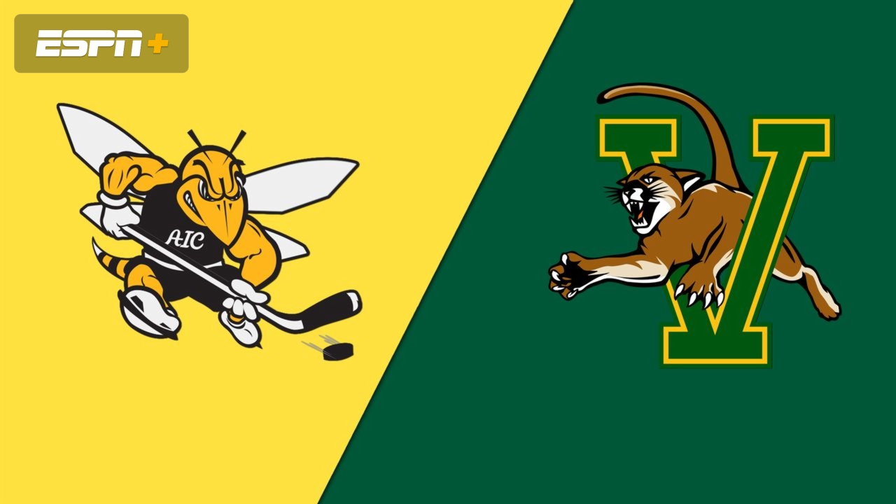 American International vs. Vermont