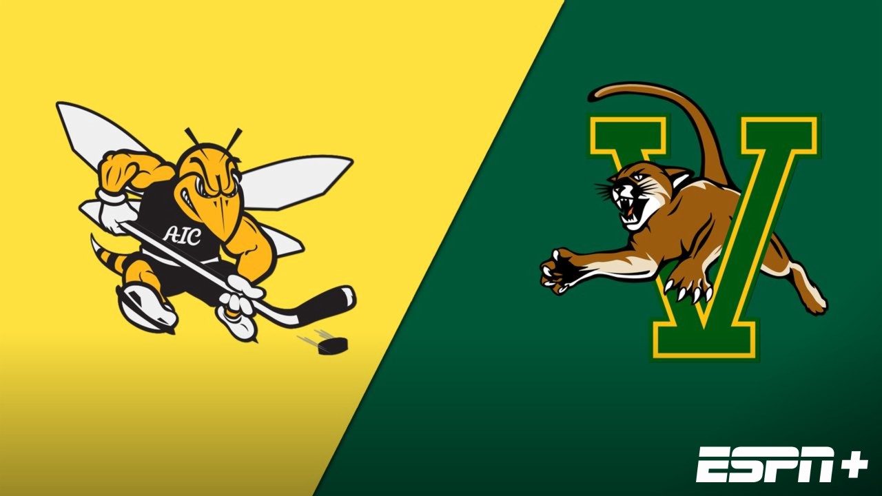 American International vs. Vermont