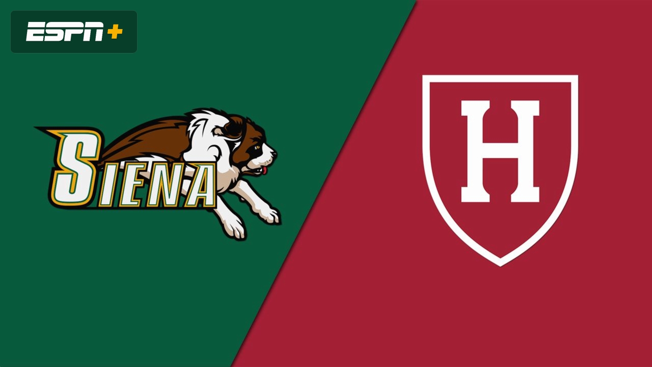 Siena vs. Harvard
