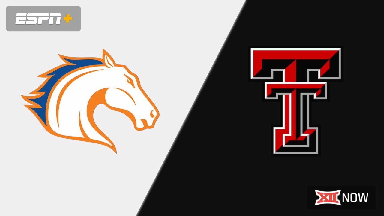 UT Arlington vs. #22 Texas Tech