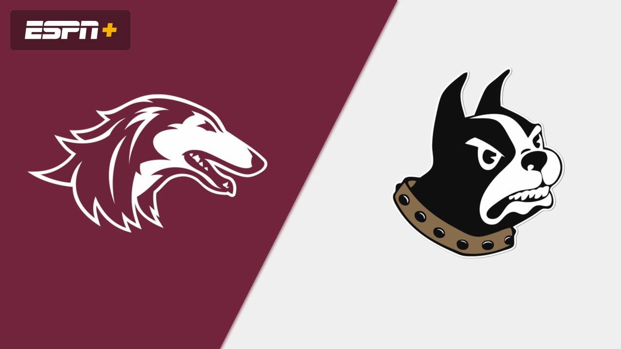 Southern Illinois vs. Wofford