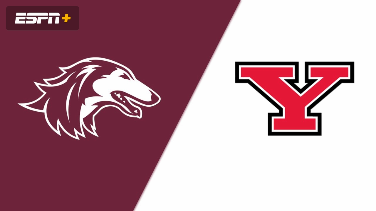 Southern Illinois vs. Youngstown State