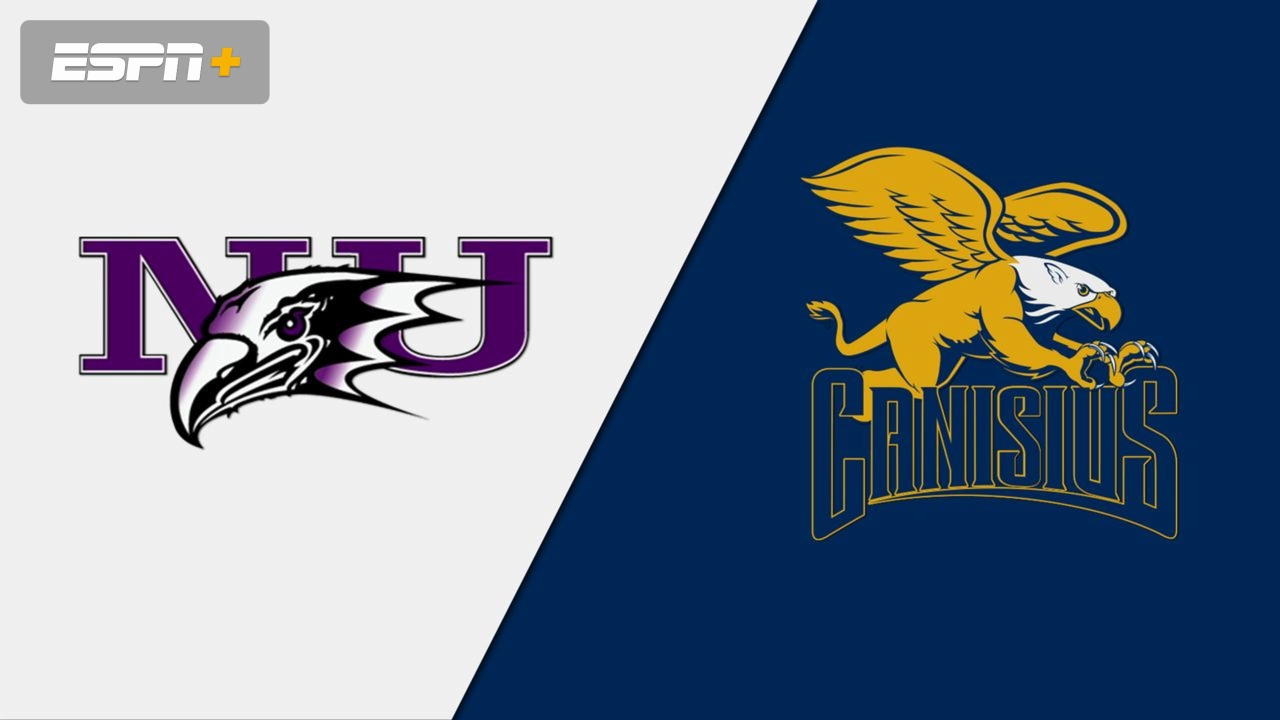 Niagara vs. Canisius (Elimination Game)