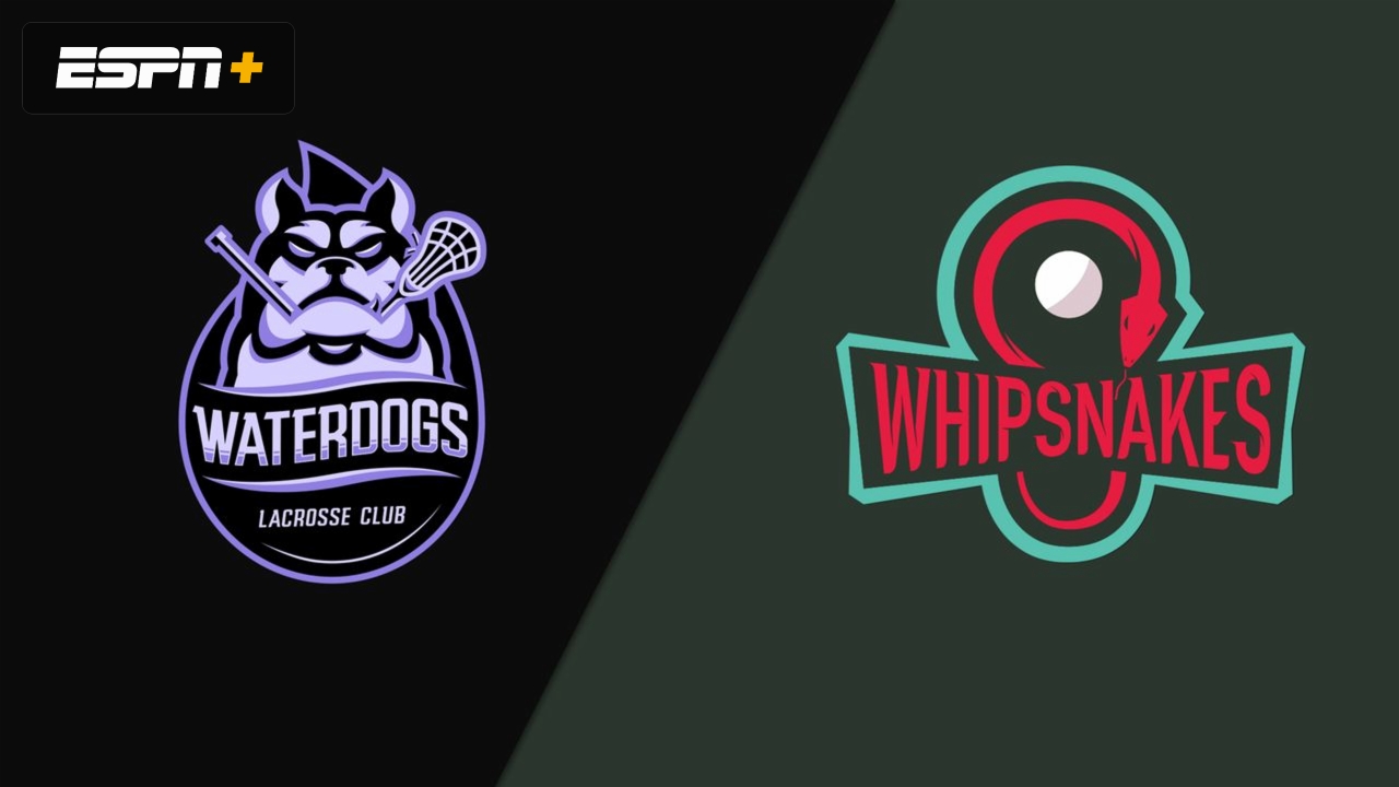 Waterdogs vs. Whipsnakes