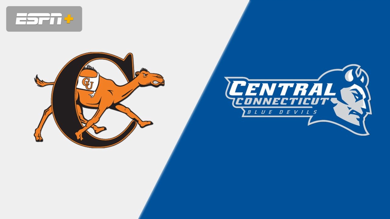 Campbell vs. Central Connecticut (Site 15 / Game 3) (NCAA Baseball Championship)