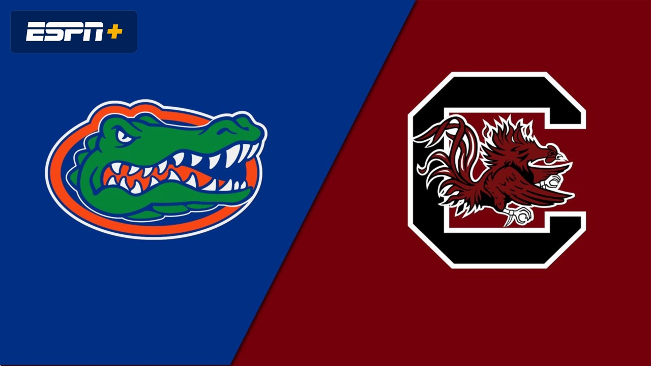 2 Florida Vs 15 South Carolina Game 2 NCAA Baseball Championship 2-florida-vs-15-south-carolina-game-2-ncaa-baseball-championship