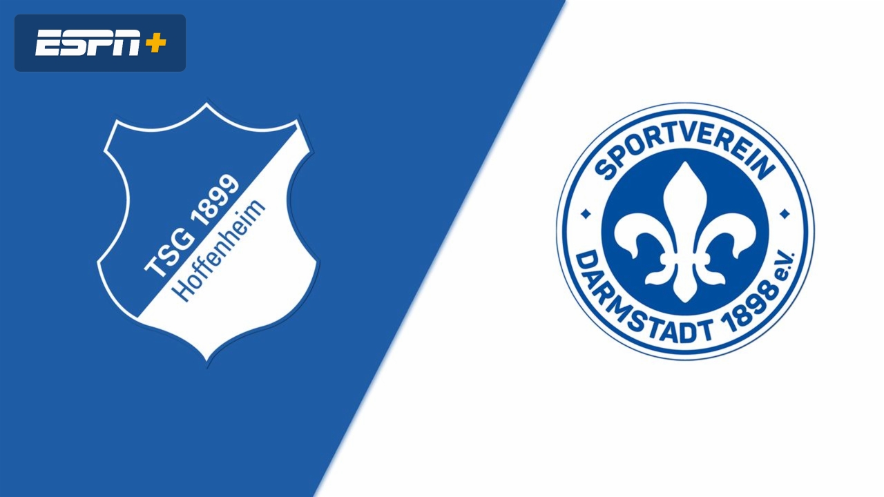 TSG Hoffenheim vs. SV Darmstadt 98 (Bundesliga)