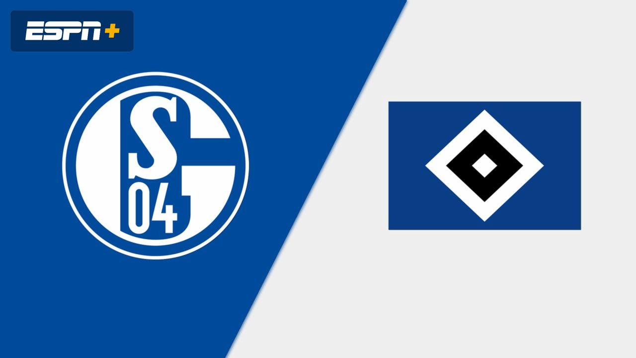 FC Schalke 04 vs. Hamburger SV